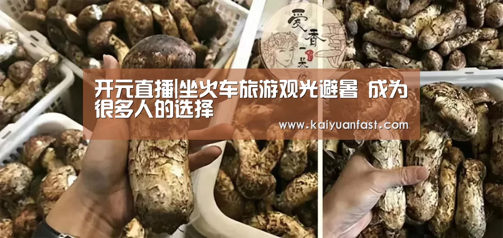 开元体育