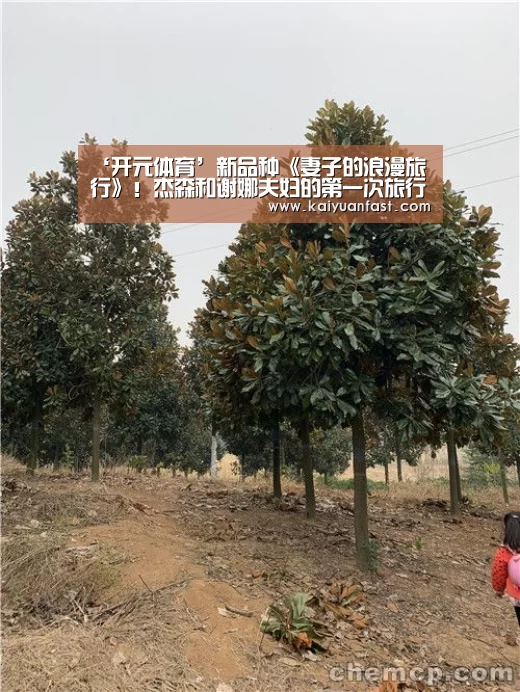 ‘开元体育’新品种《妻子的浪漫旅行》!杰森和谢娜夫妇的第一次旅行开始了(图4) 开元热点