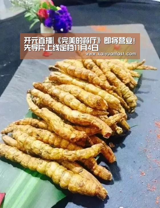 开元直播|《完美的餐厅》即将营业!先导片上线定档11月4日(图2) 开元体育