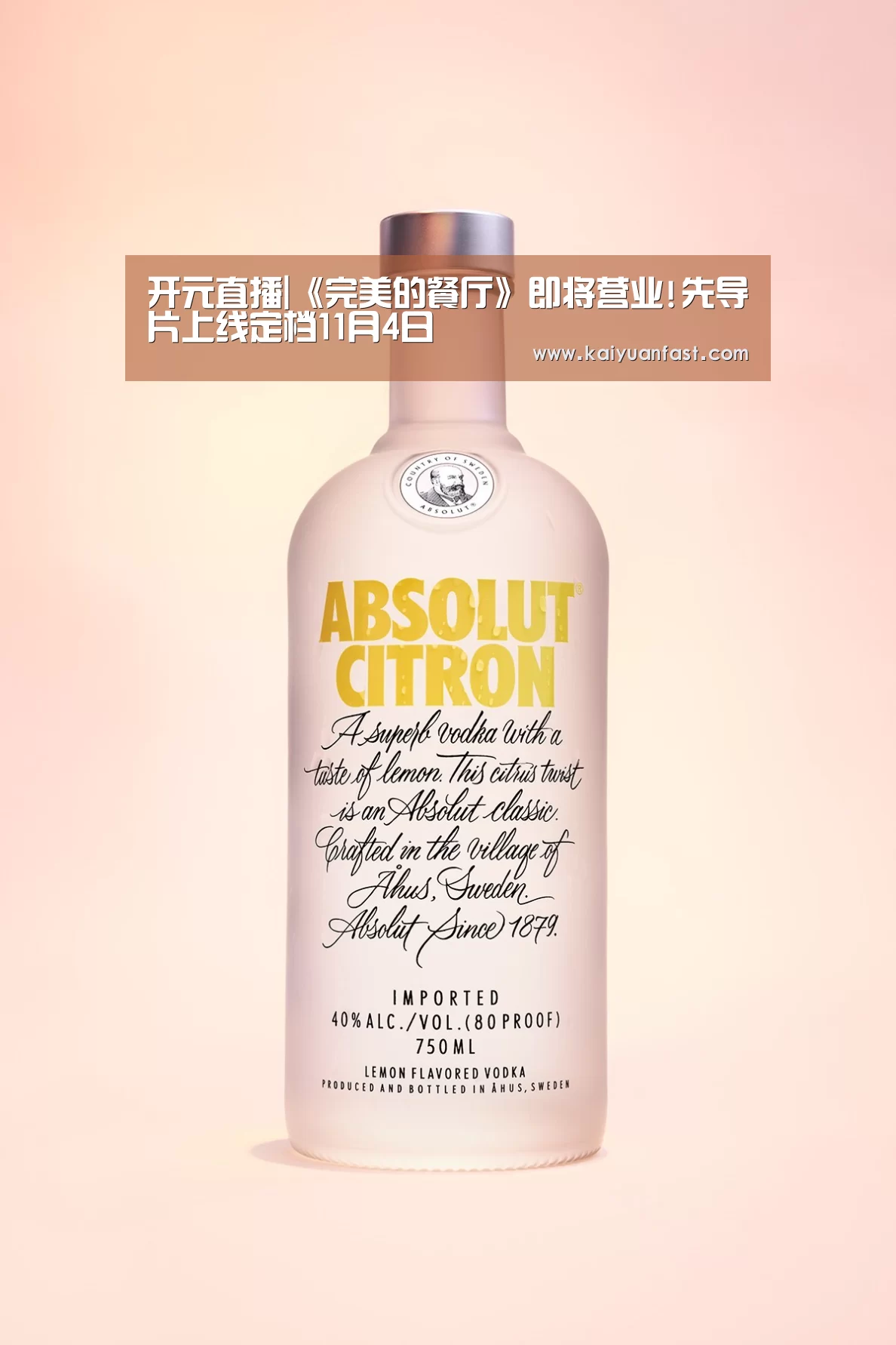开元直播|《完美的餐厅》即将营业!先导片上线定档11月4日(图3) 开元直播